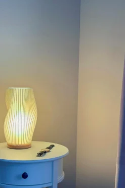 Aneta Lighting Bordlampe Korall