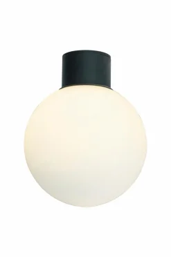 Aneta Lighting Loftslampe Saltvik udendørs