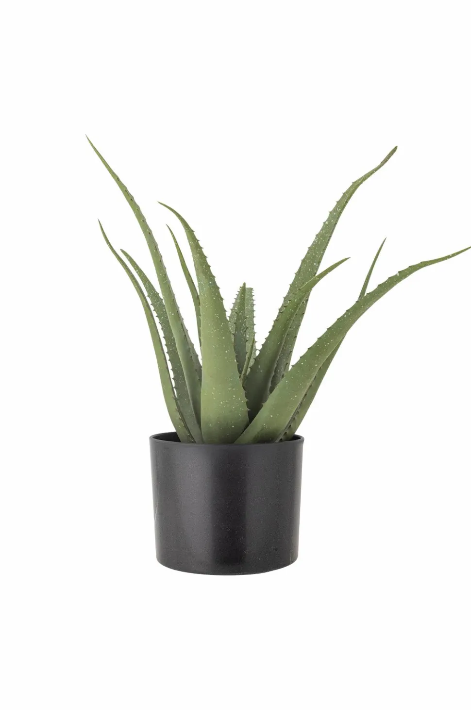 Bloomingville Aloe Plante