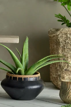 Bloomingville Aloe Plante