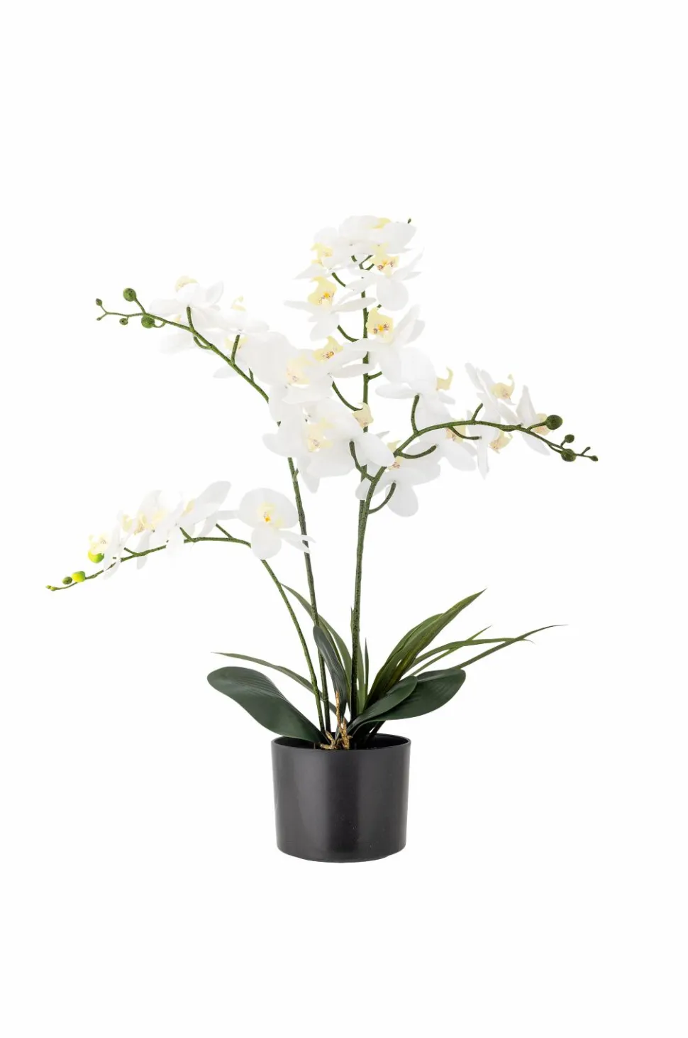Bloomingville Orchid Plante