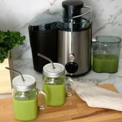 Champion Nordic Juicepresser 0,5L RS400