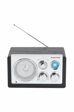 Denver Analog radio AM/FM