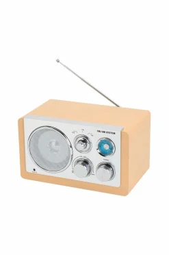 Denver Analog radio AM/FM