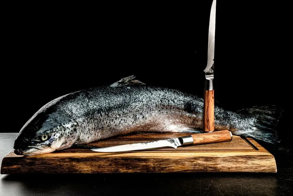 Forged Fiskfilékniv