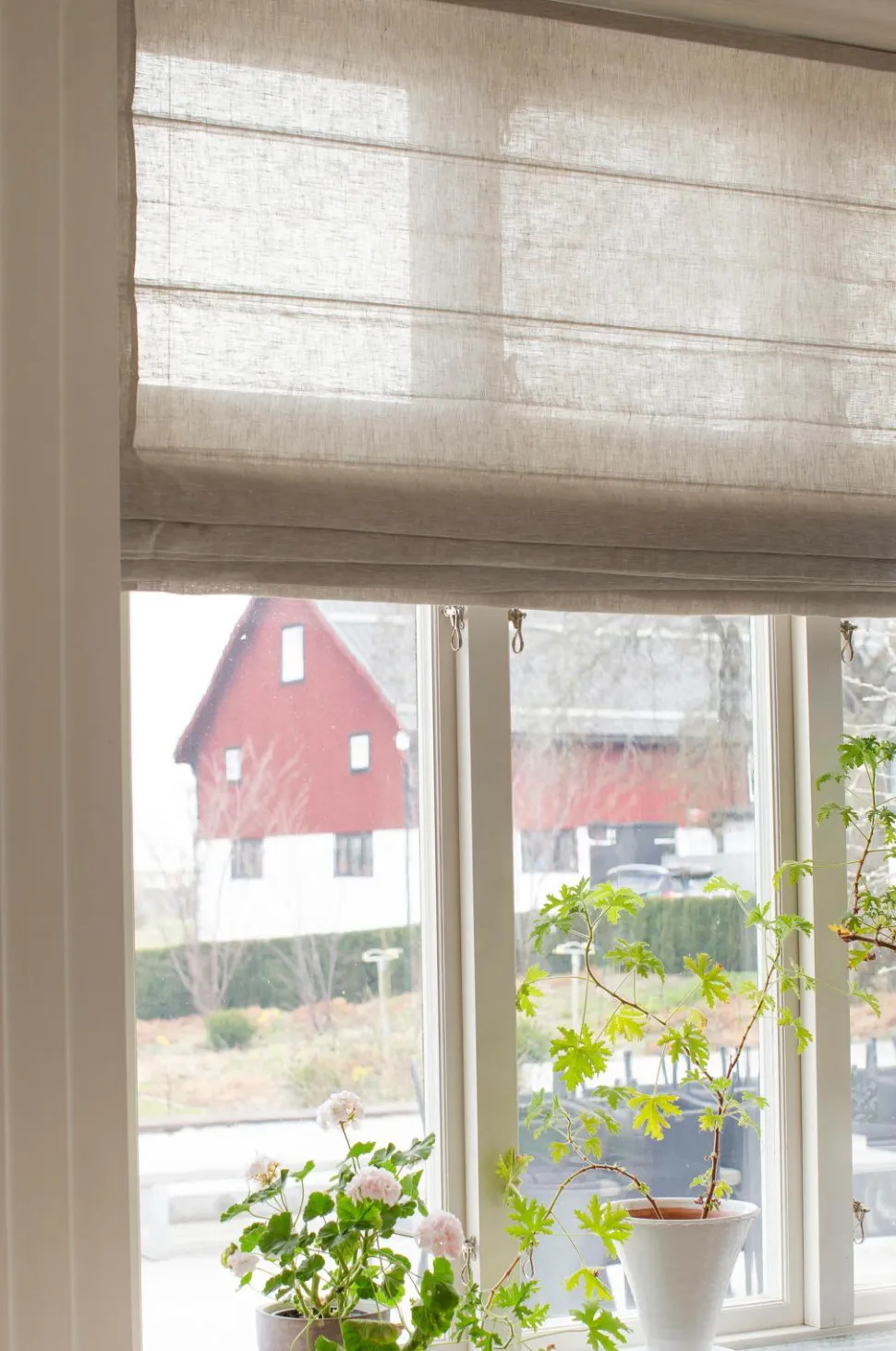 Himla Roman Blind Sunday