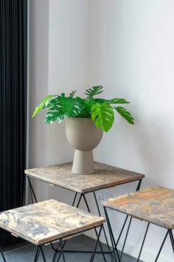 House Nordic Kunstig Monstera. Plante af PE-plast. Ø 40 cm.