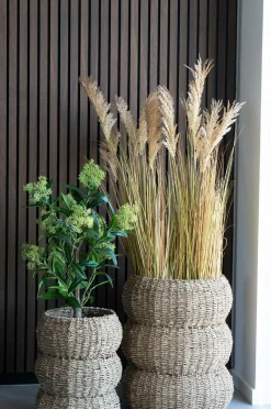 House Nordic Kurve Sarbas