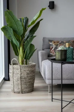 House Nordic Opbevaringskurv Irvine