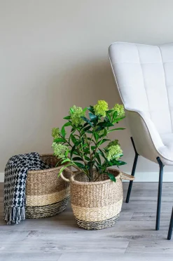 House Nordic Plaid Side