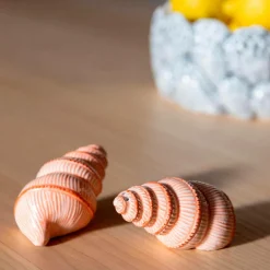 &k Amsterdam Salt & peber Shell