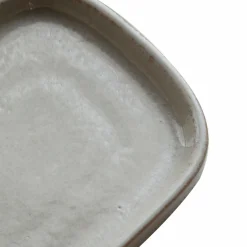 Meraki Tray Datura
