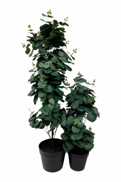 Nordic Furniture Group Kunstplante Viridis Eucalyptus 78