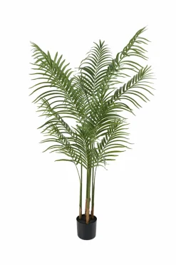 Present Time Kunstig plante Kwai Tree
