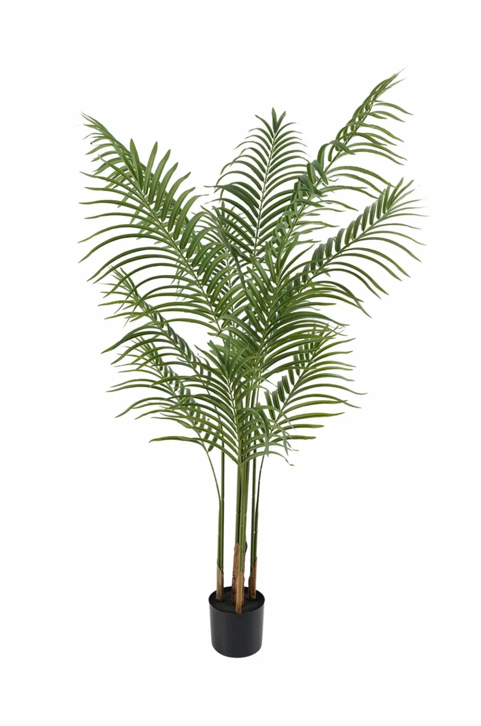 Present Time Kunstig plante Kwai Tree