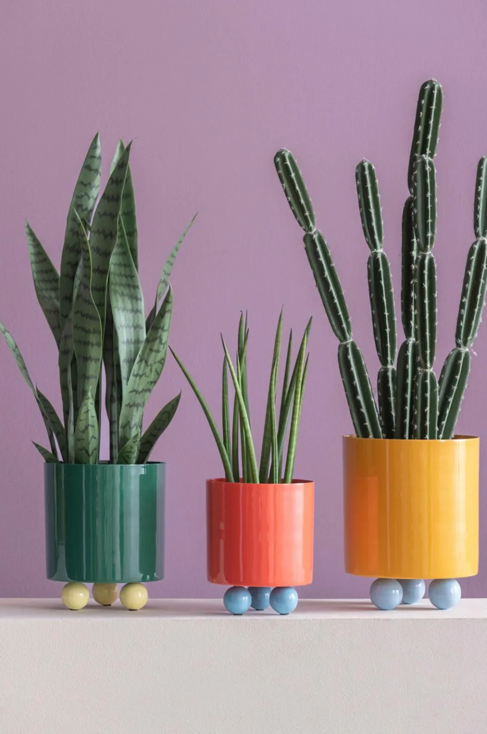 Present Time Plantekrukke Double Funky Large