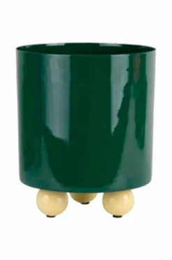 Present Time Plantekrukke Double Funky Medium