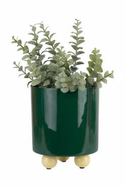 Present Time Plantekrukke Double Funky Medium