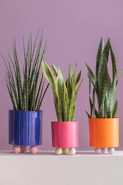 Present Time Plantekrukke Double Funky Small