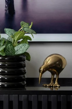 Present Time Statue Kiwi Bird