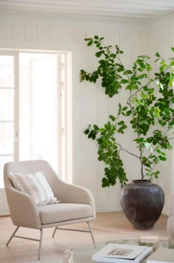 Rowico Home Eldwin lounge stol