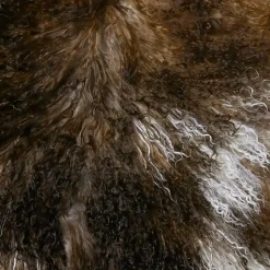 Skinnwille Fåreskind Shansi