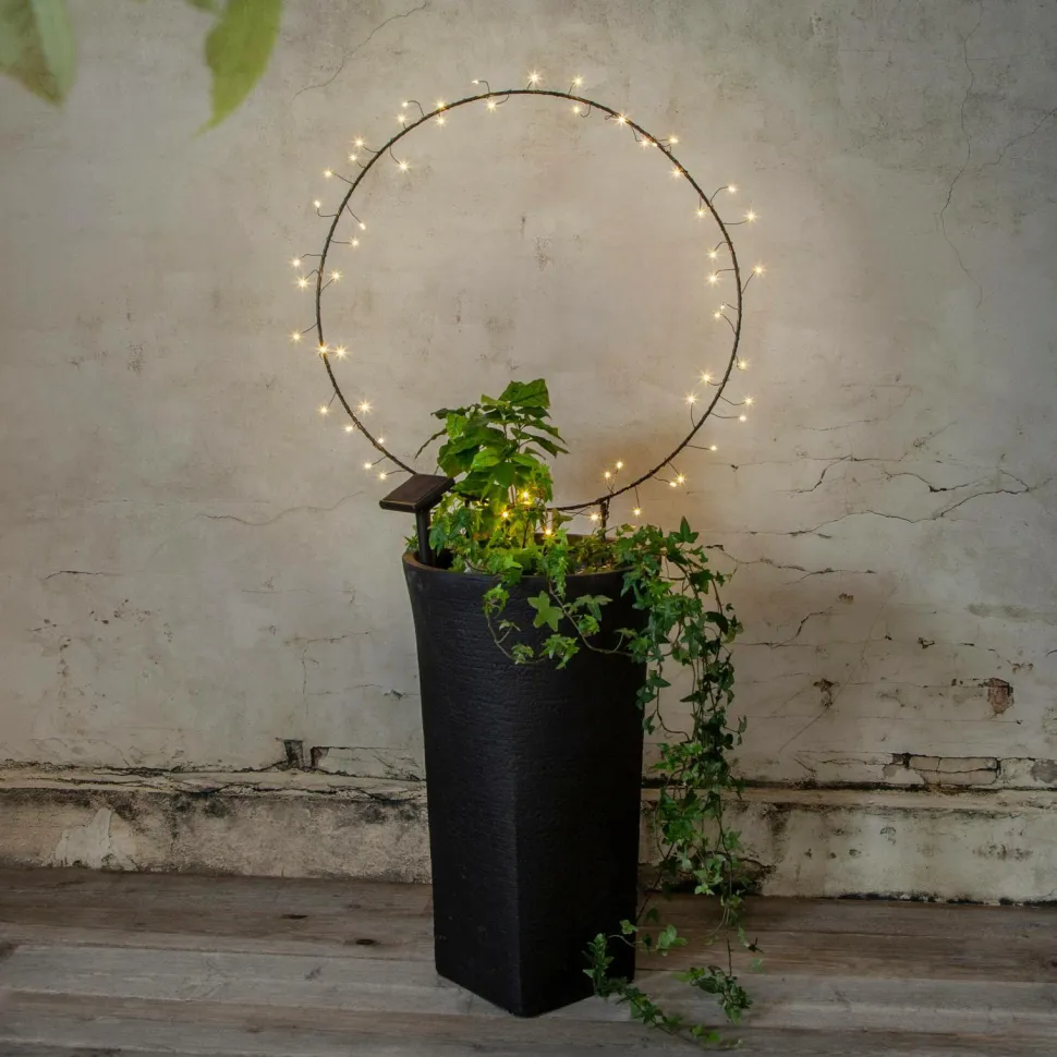 Star Trading Solcelledekoration Barlumi Solar 100cm