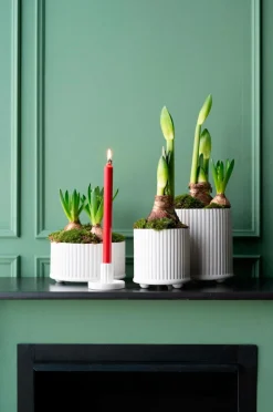 Wikholm Form Plantning Julianne