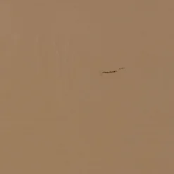 WOOOD Bogstativ Jet