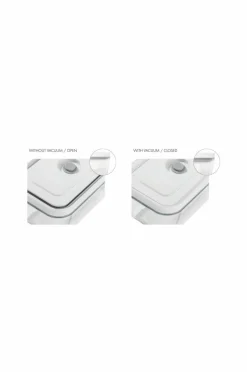 ZWILLING Vakuumbeholder Gratinfad Fresh & Save 2800 ml Glas